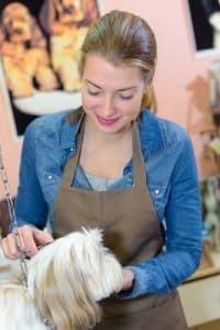 A woman wearing an apron grooming a small dog